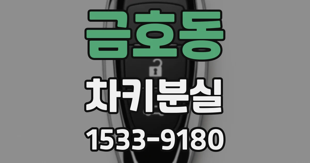 금호동 차키분실