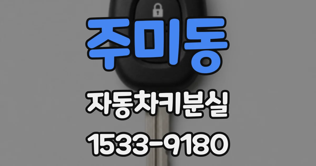 주미동 자동차키분실