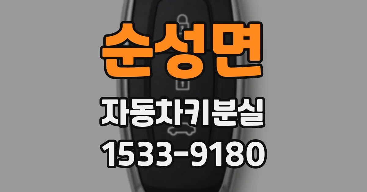 순성면 자동차키분실