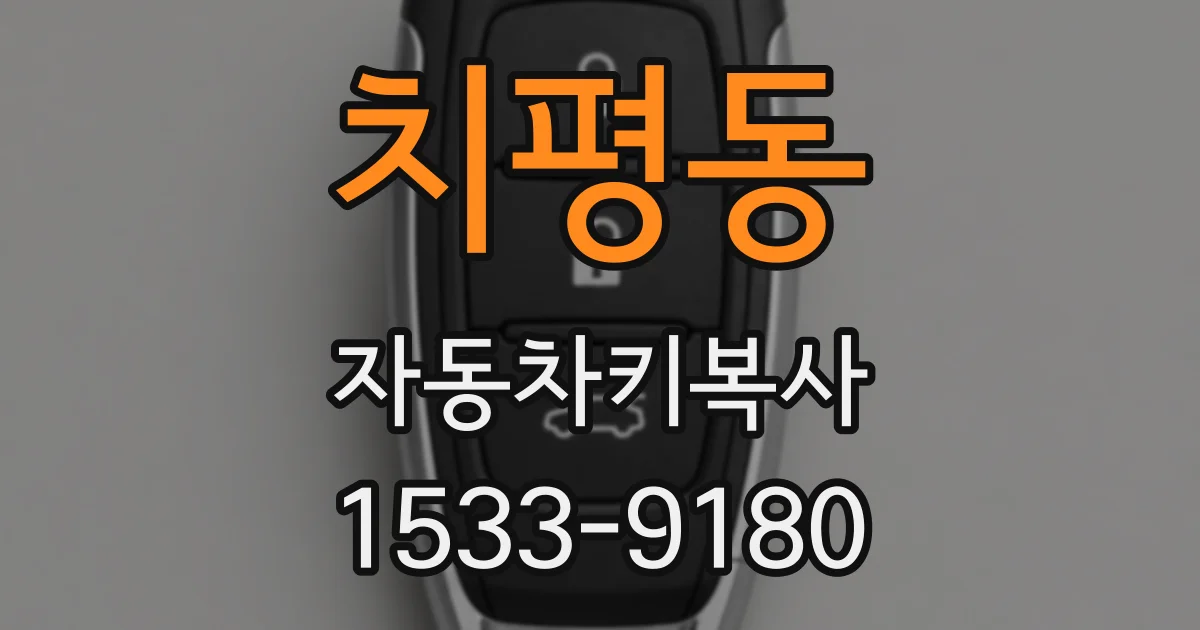 치평동 자동차키복사