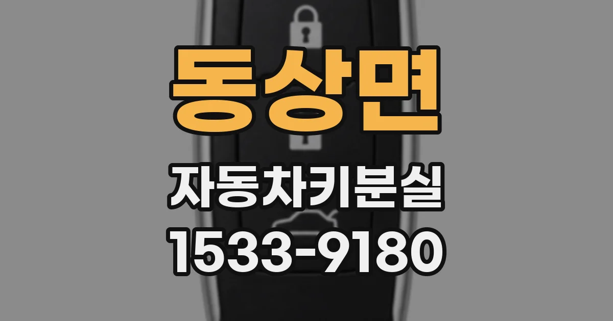 동상면 자동차키분실