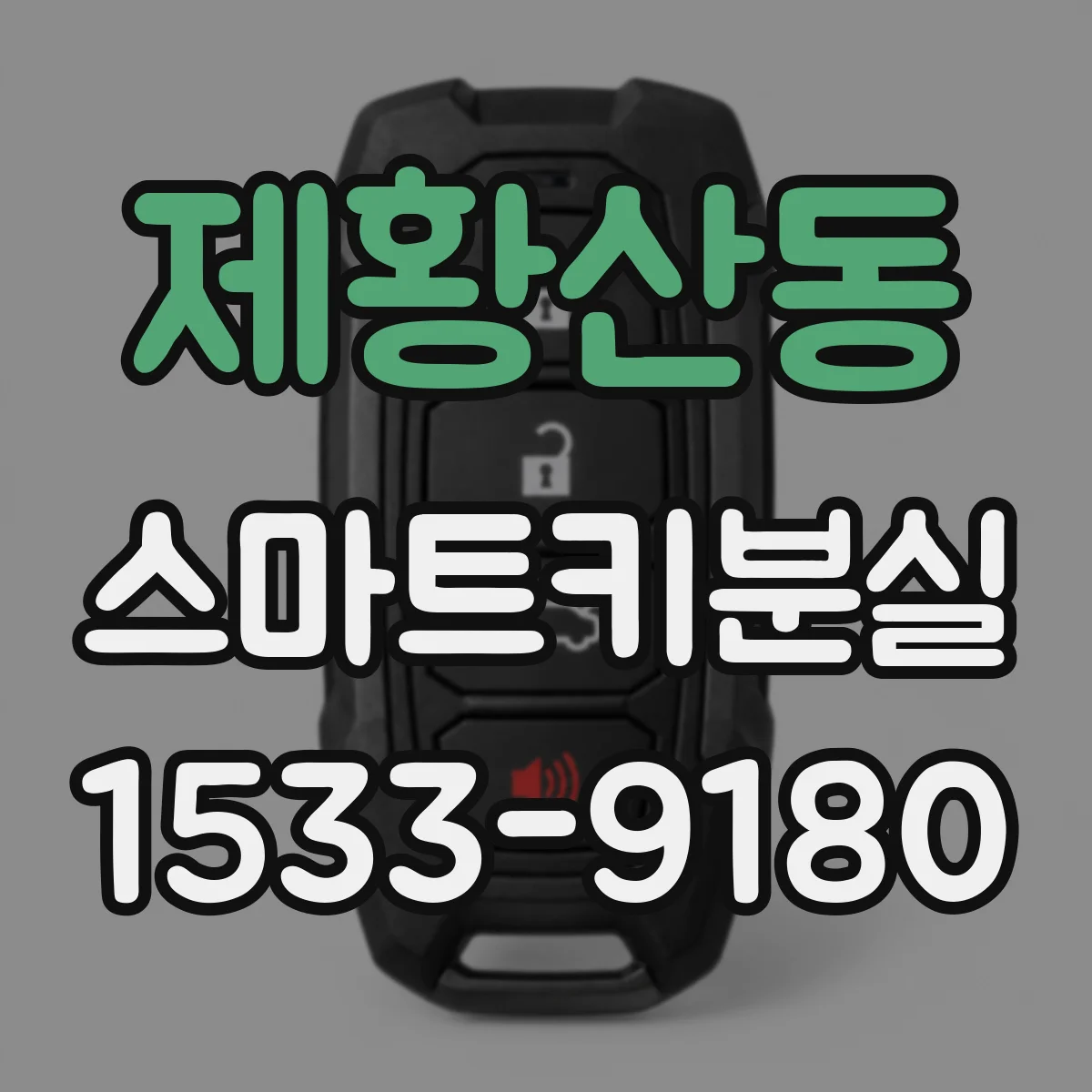제황산동 스마트키분실