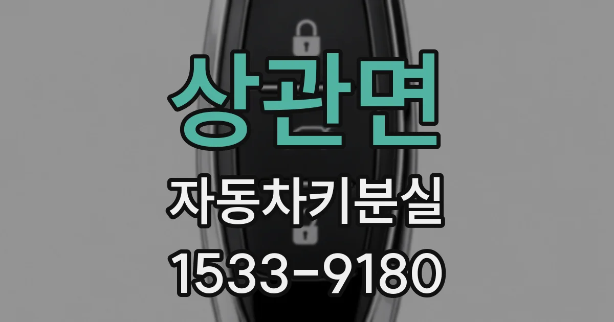 상관면 자동차키분실