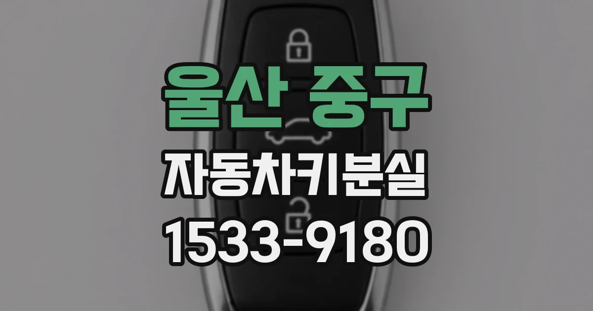 울산 중구 자동차키분실
