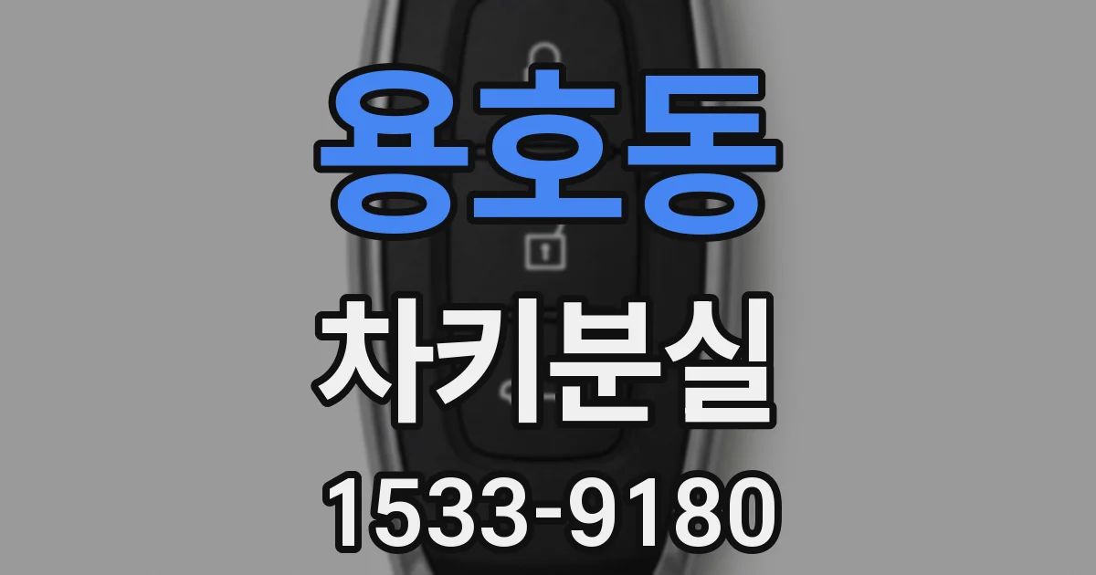 용호동 차키분실