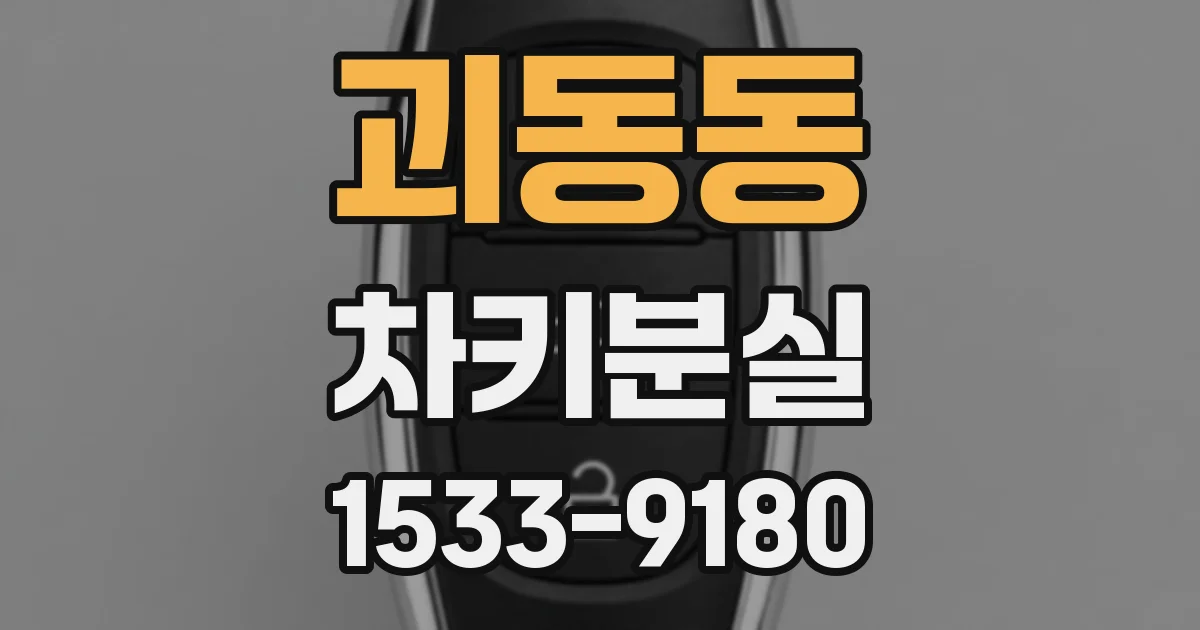 괴동동 차키분실