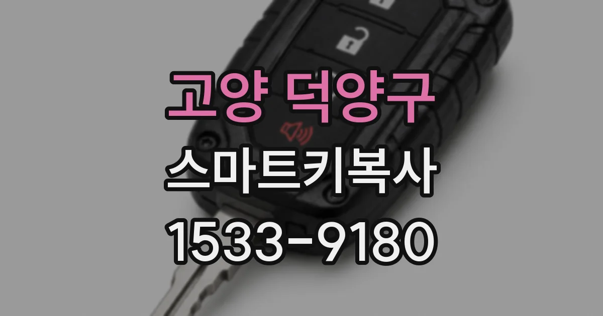 고양 덕양구 스마트키복사