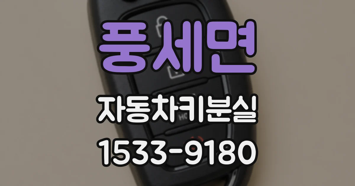 풍세면 자동차키분실