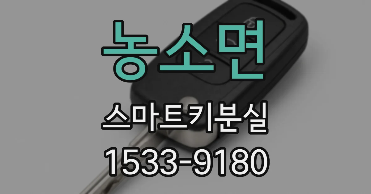 농소면 스마트키분실