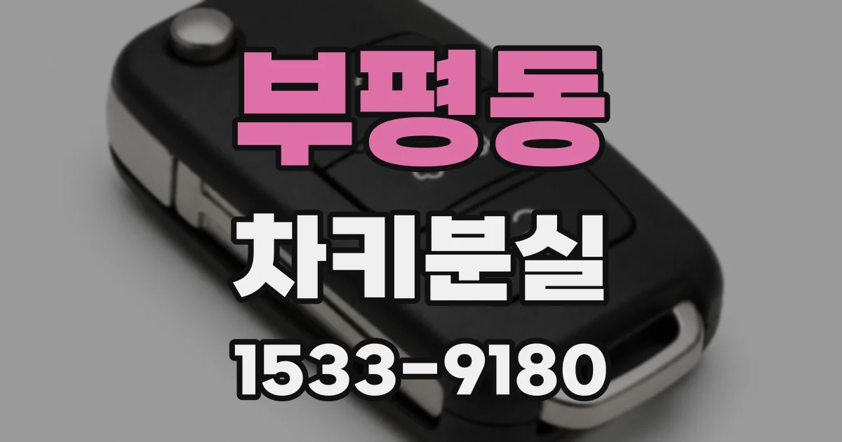 부평동 차키분실