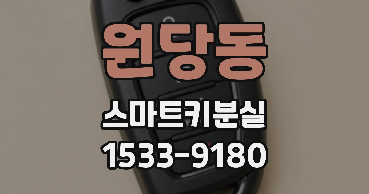 원당동 스마트키분실