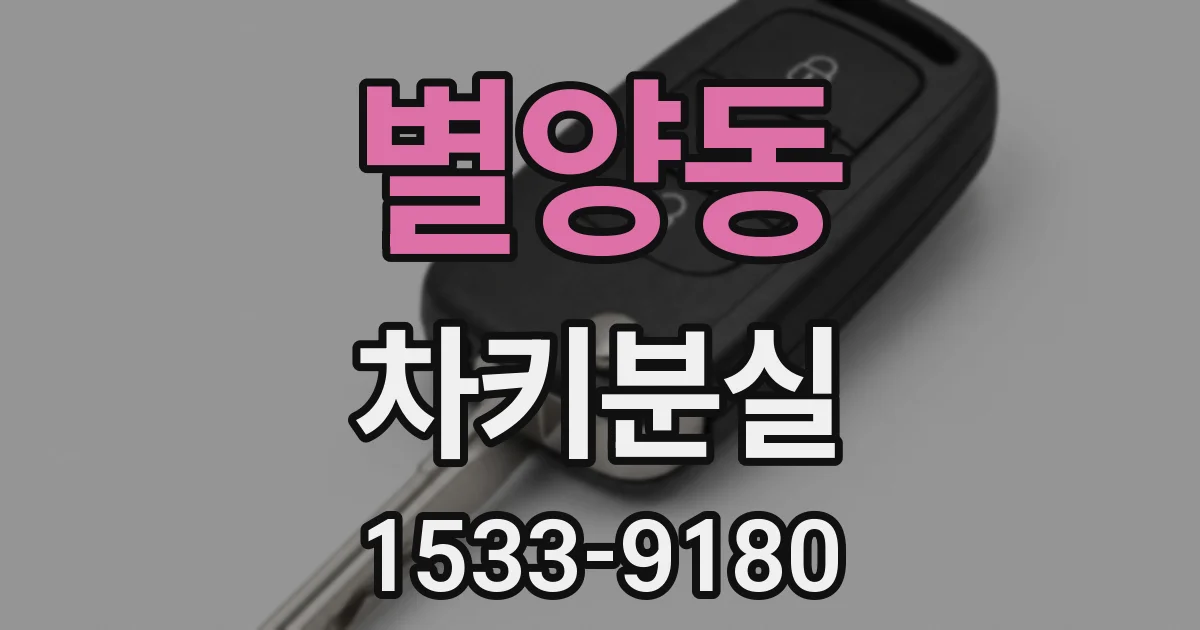별양동 차키분실