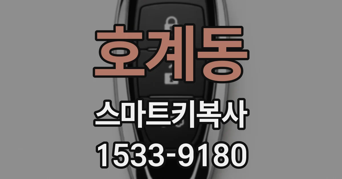 호계동 스마트키복사