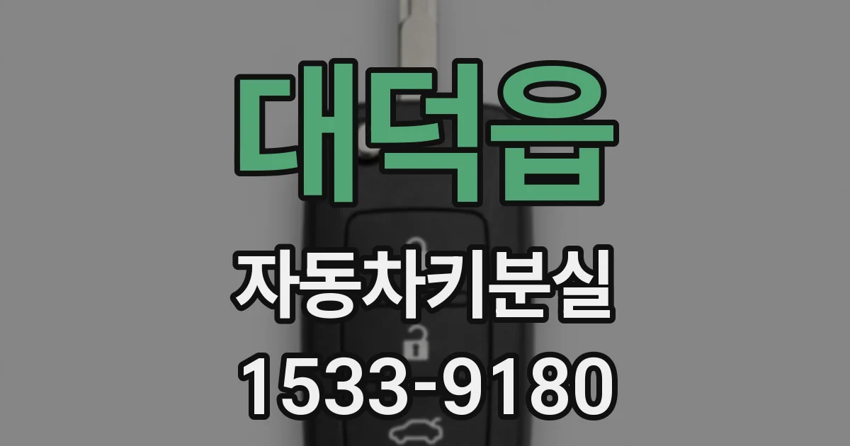 대덕읍 자동차키분실
