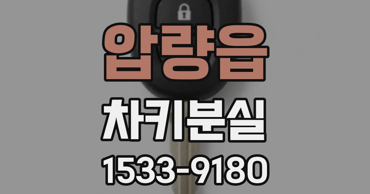 압량읍 차키분실