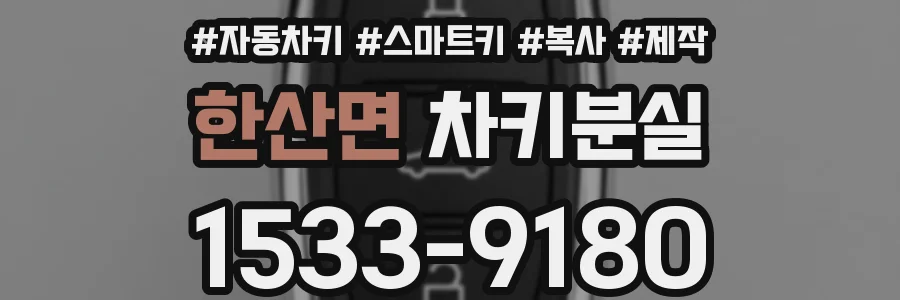 한산면 차키분실
