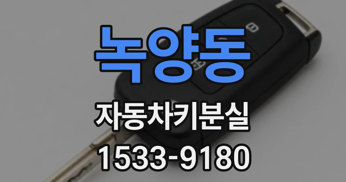 녹양동 자동차키분실