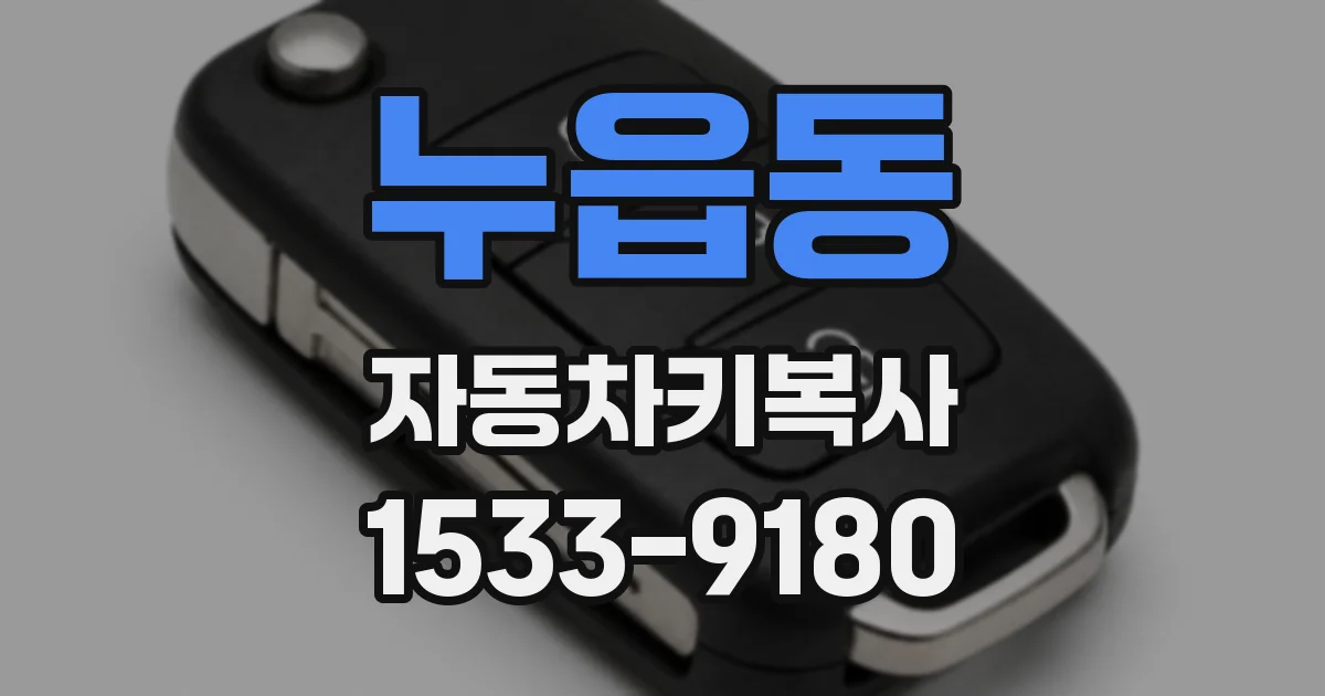 누읍동 자동차키복사