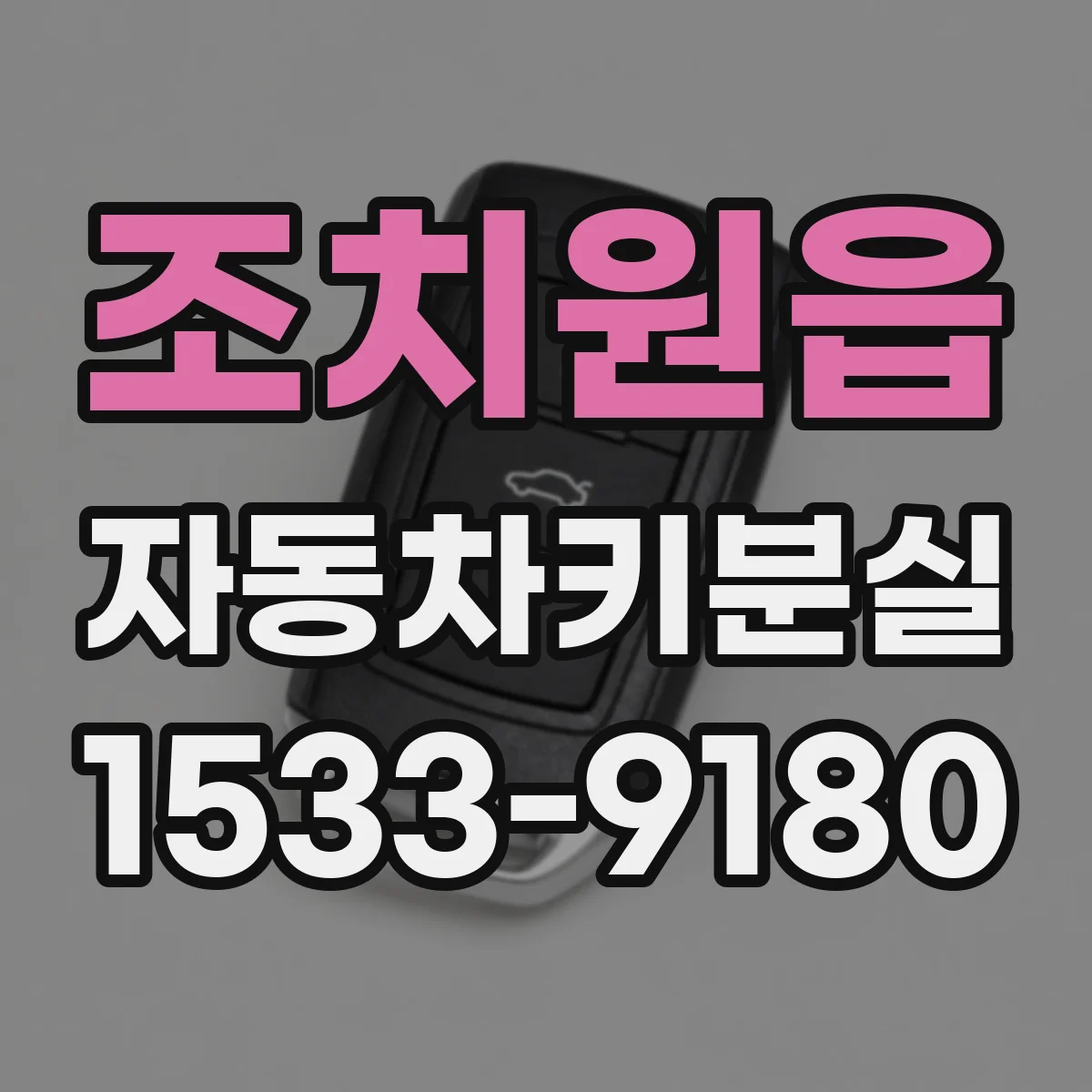 조치원읍 자동차키분실