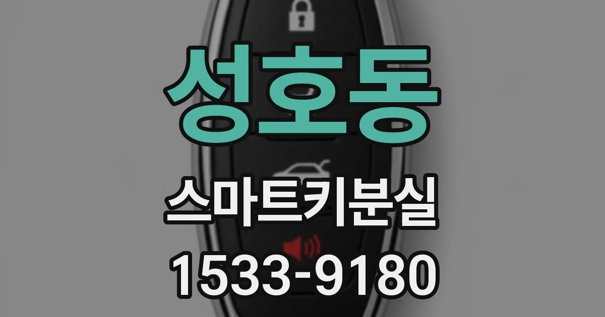 성호동 스마트키분실