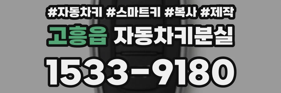 고흥읍 자동차키분실