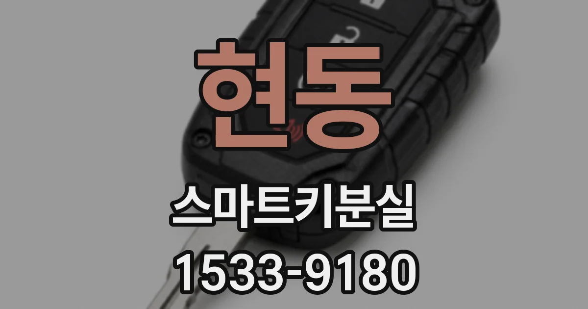 현동 스마트키분실