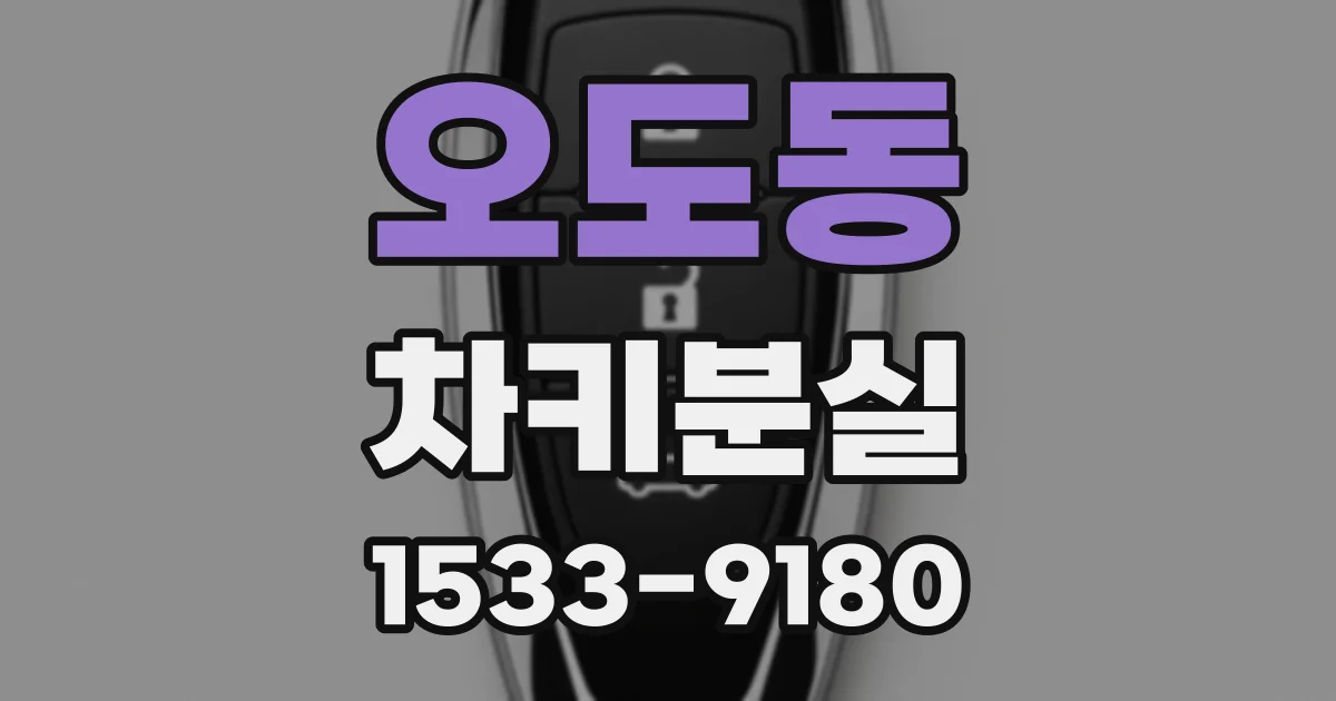 오도동 차키분실