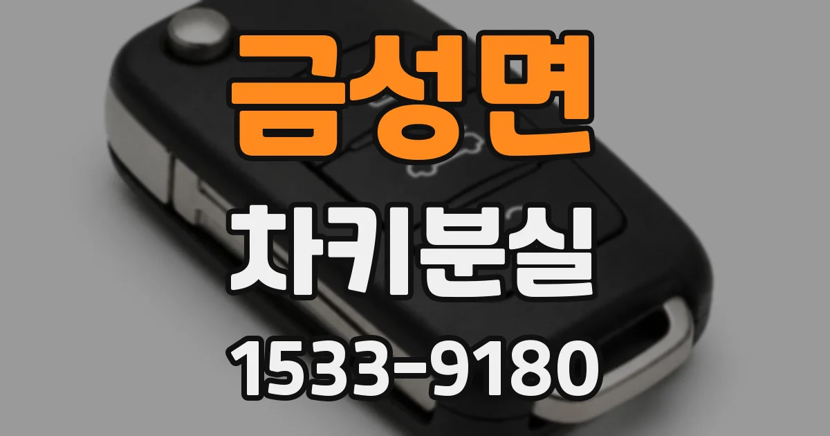 금성면 차키분실