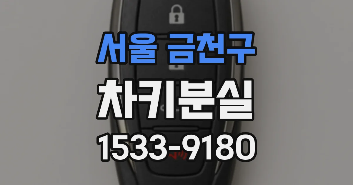 서울 금천구 차키분실