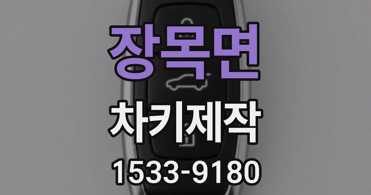 장목면 차키제작
