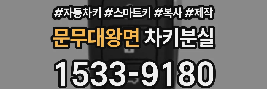 문무대왕면 차키분실