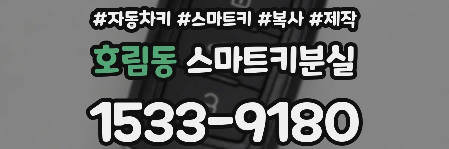 호림동 스마트키분실