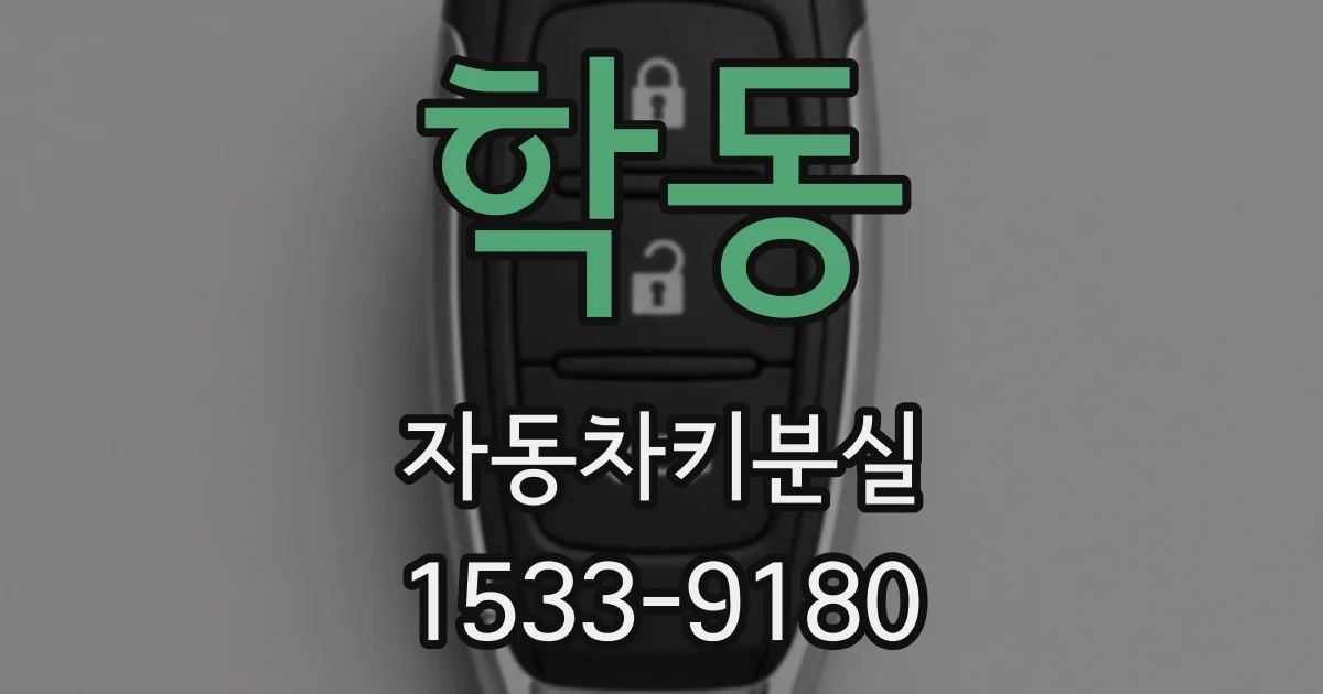 학동 자동차키분실
