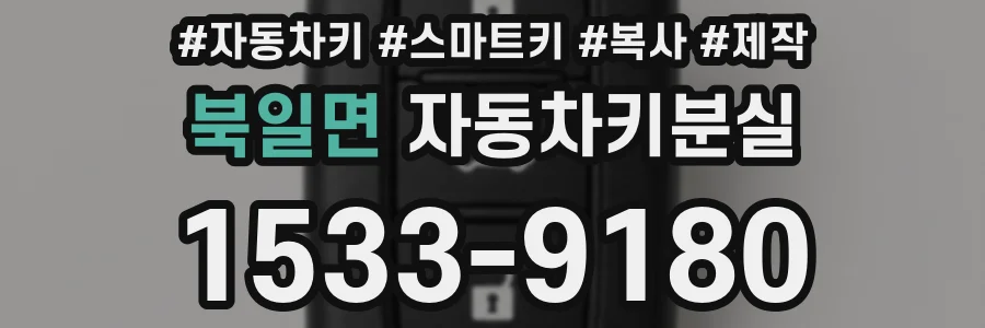 북일면 자동차키분실