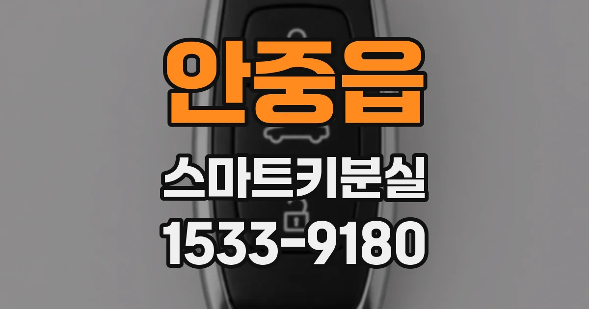 안중읍 스마트키분실