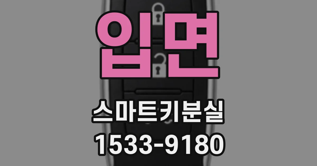 입면 스마트키분실