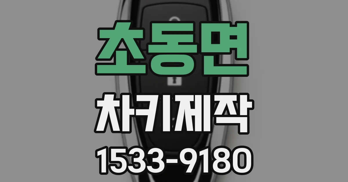 초동면 차키제작