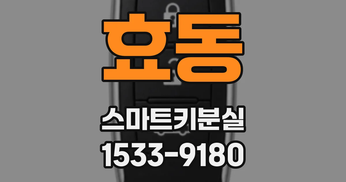 효동 스마트키분실