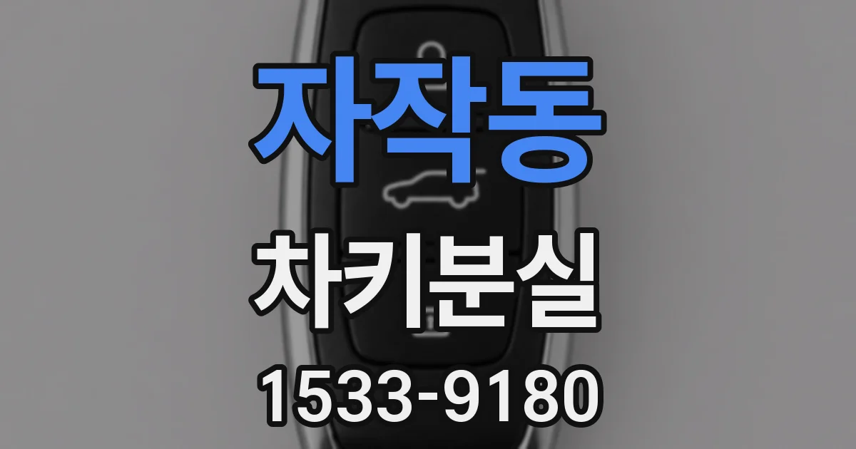 자작동 차키분실