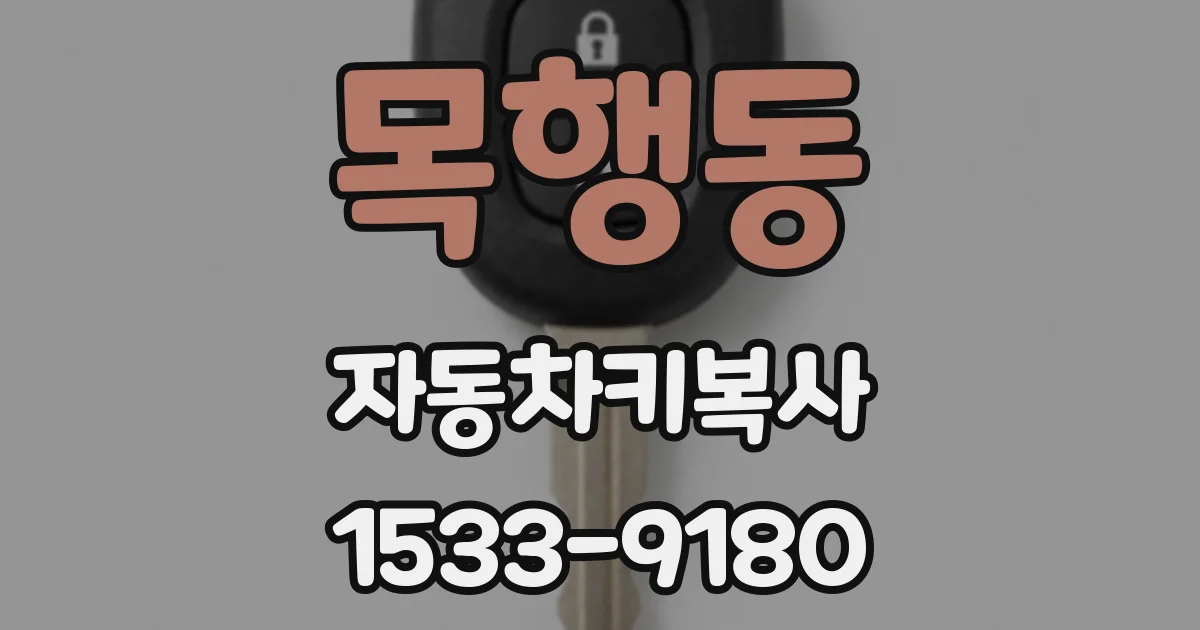 목행동 자동차키복사