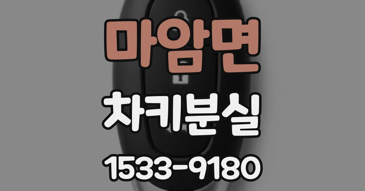 마암면 차키분실