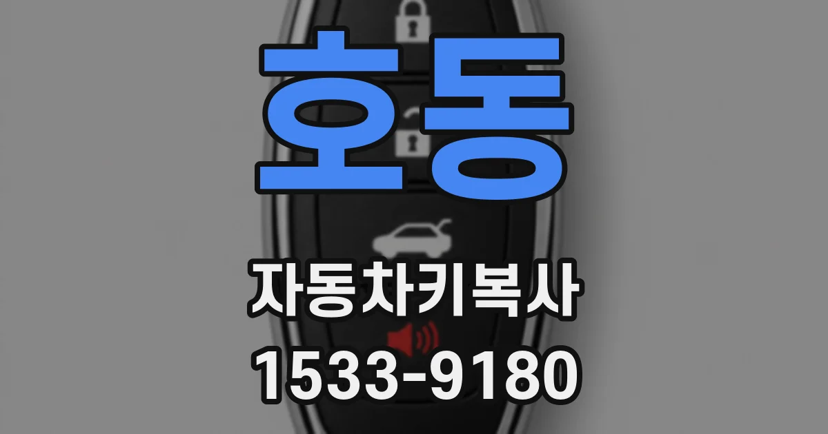 호동 자동차키복사