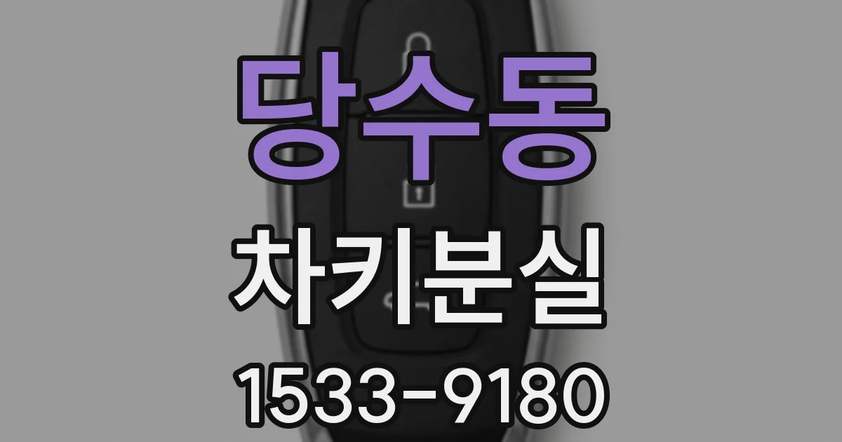 당수동 차키분실