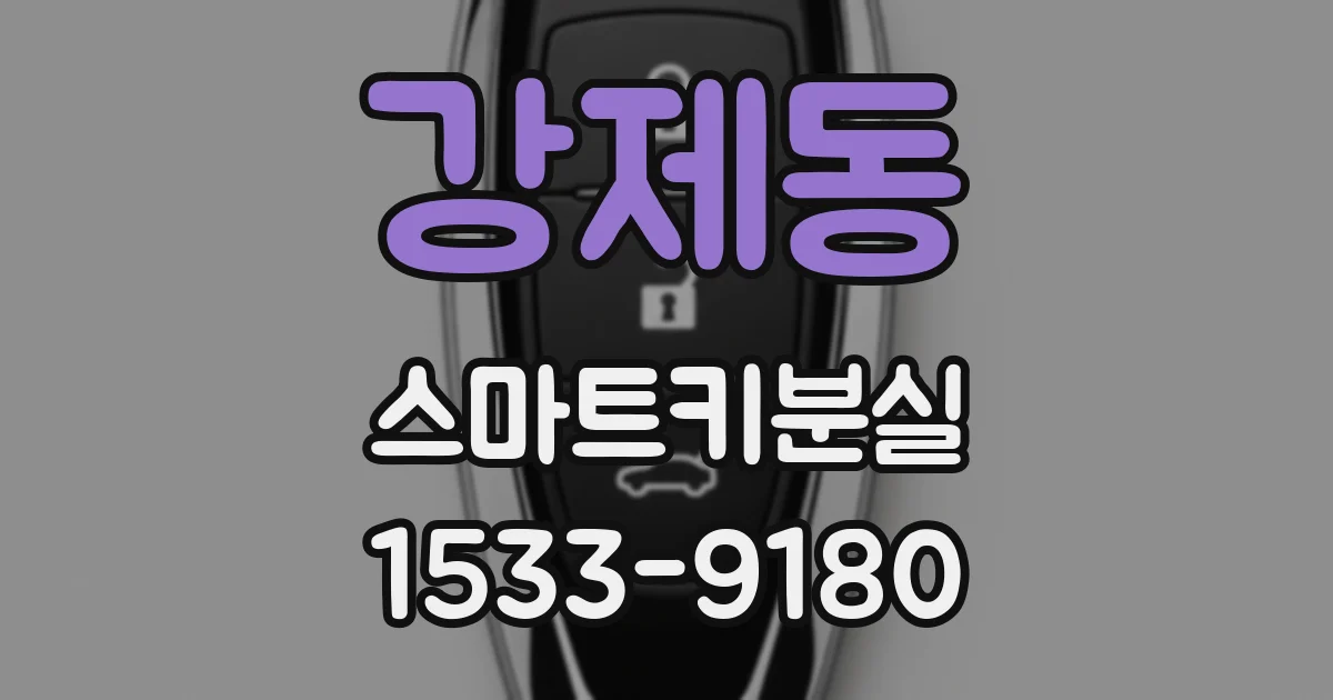 강제동 스마트키분실