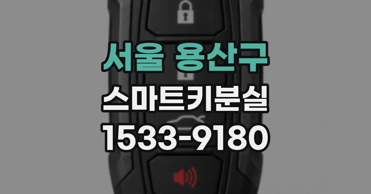 서울 용산구 스마트키분실