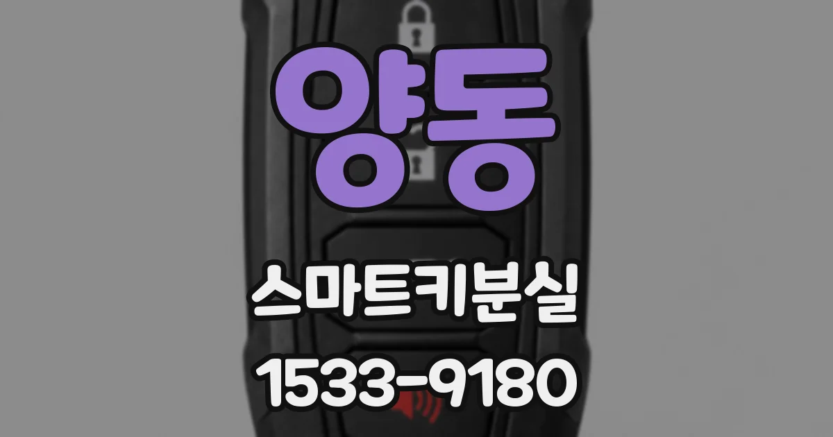 양동 스마트키분실
