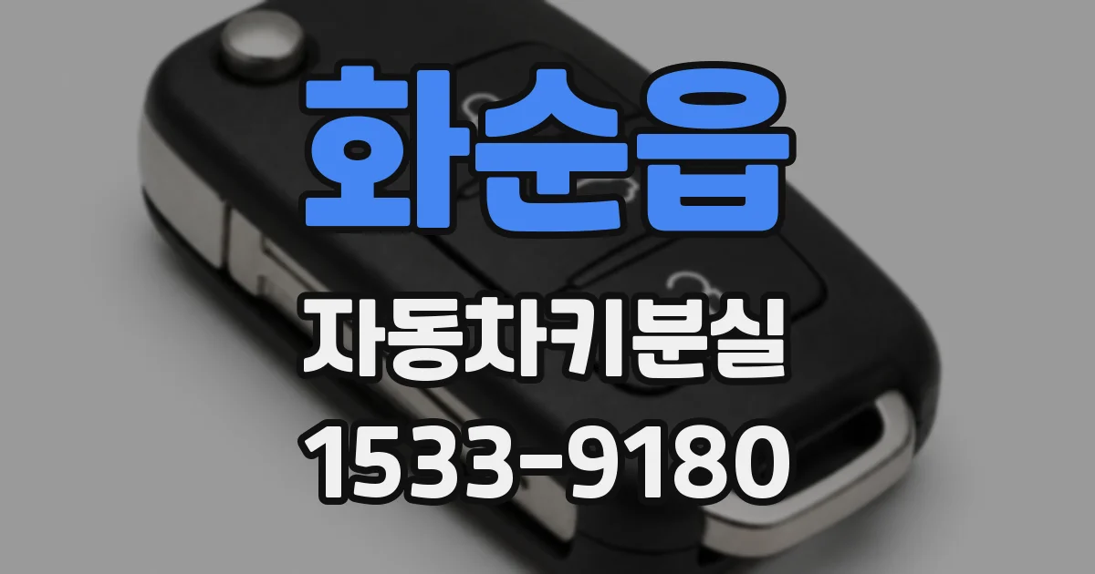 화순읍 자동차키분실