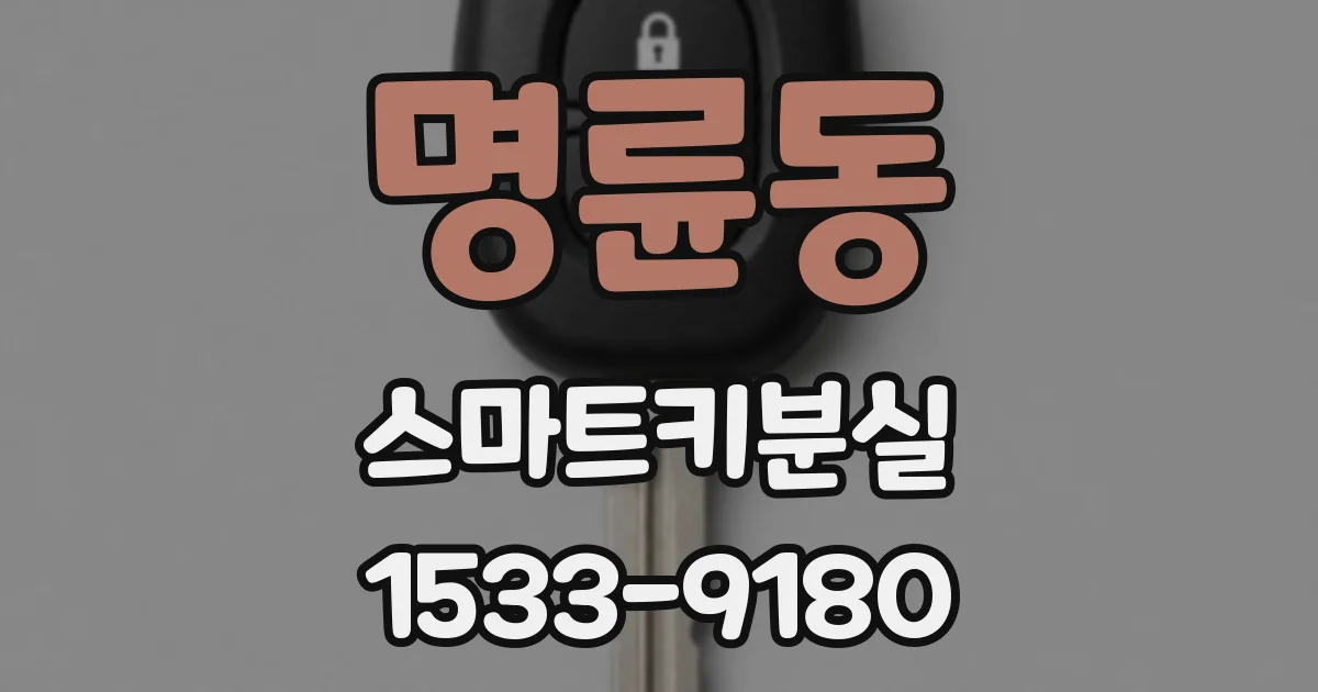 명륜동 스마트키분실