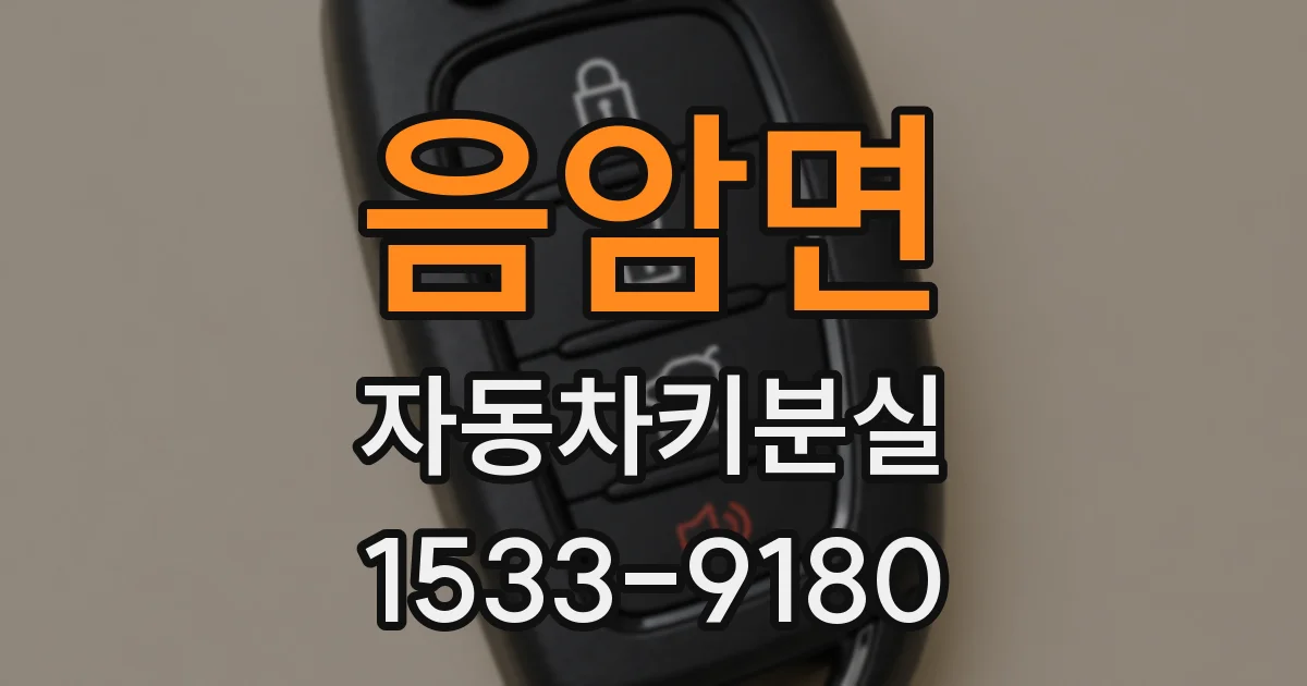 음암면 자동차키분실