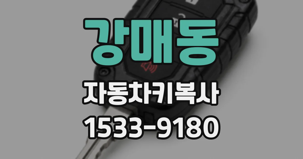강매동 자동차키복사